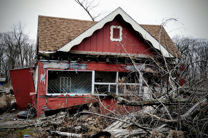 Deer Forest - January 2024 Photo From Dan Keeley (newer photo)